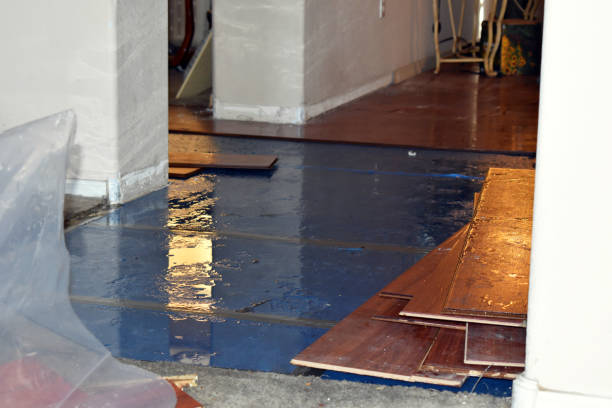 Professional Basement Water Removal technician working in Broadbent, OR